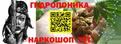 гидропоника Кимры