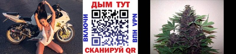 гидра ТОР  Когалым  Бошки Шишки сатива 
